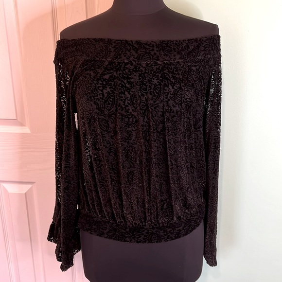 Free People Tops - Free People Ginger Berry Burnout Velvet Top